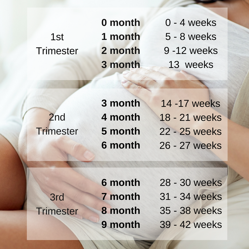 How To Calculate Pregnancy Weeks And Months Accuratel Vrogue co How To Calculate Pregnancy Weeks And Months Accuratel Vrogue co